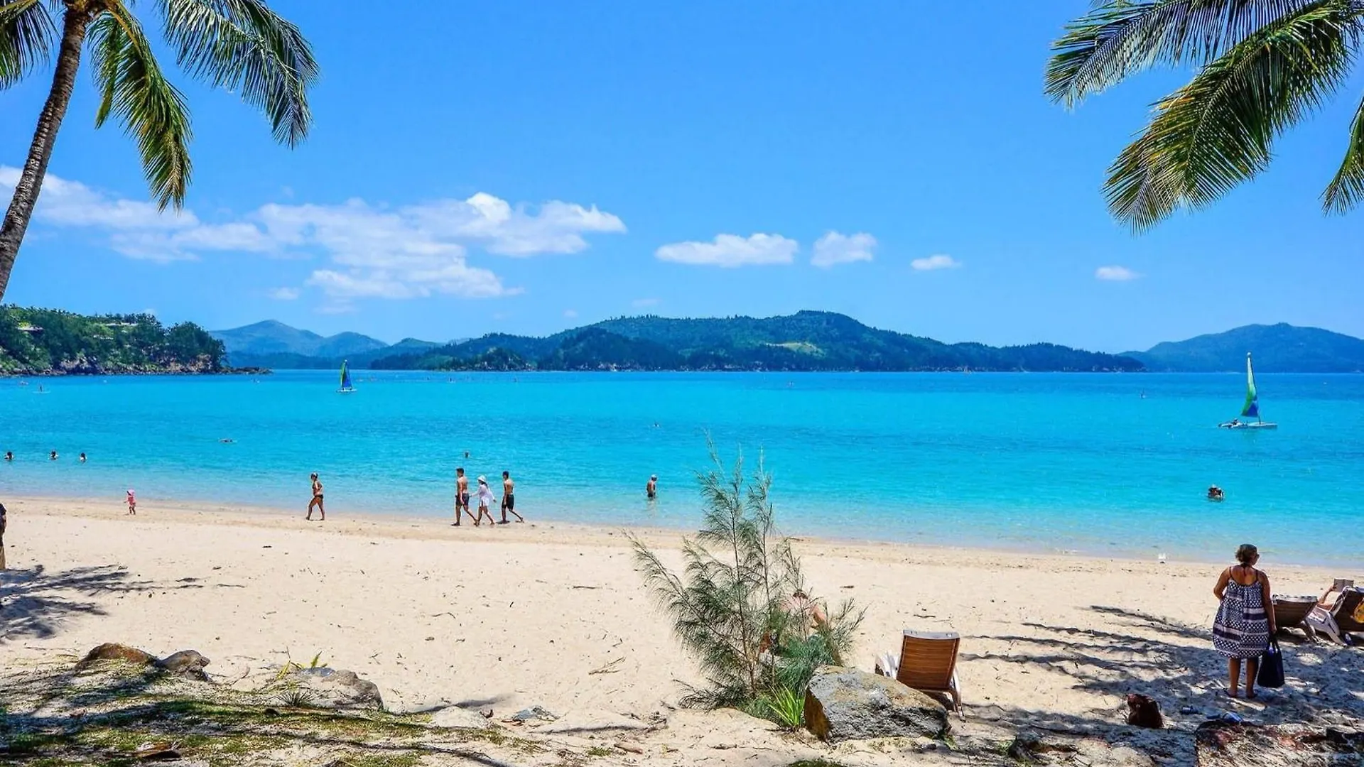 Beachfront Hamilton Island Apartment