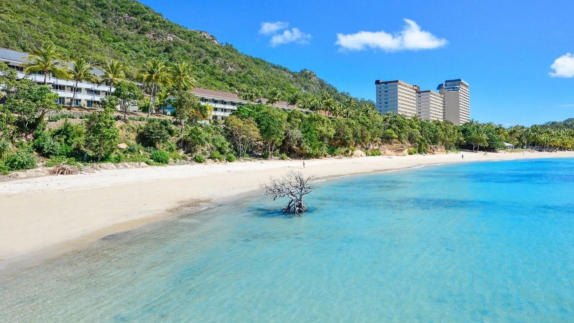 Beachfront Hamilton Island Appartamento